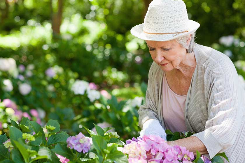 Woman looking at flowers while pruning